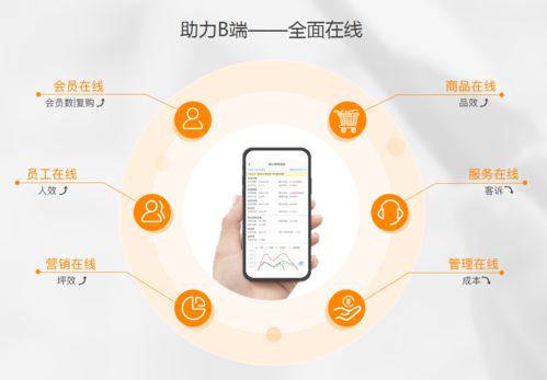 生鲜电商亏损潮中，点DMall为何能逆势融资28亿？